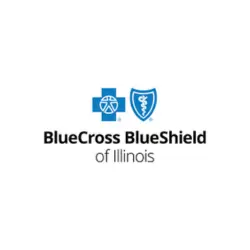 BCBSIL Wise Credentialing & Enrollment Services in illinois