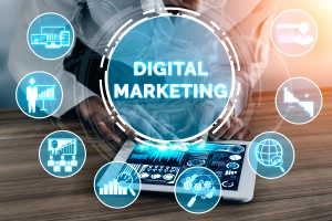 Tailored Digital Marketing Strategies for Your Business